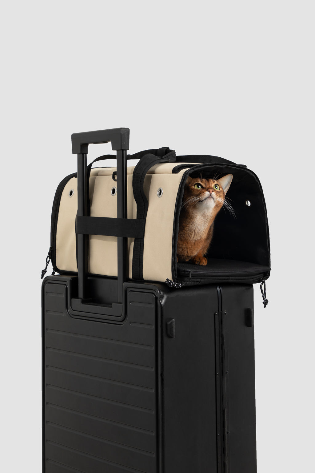 A beige and black pet carrier bag with a cat sitting inside, placed on top of a black hard-shell suitcase against a light gray background.