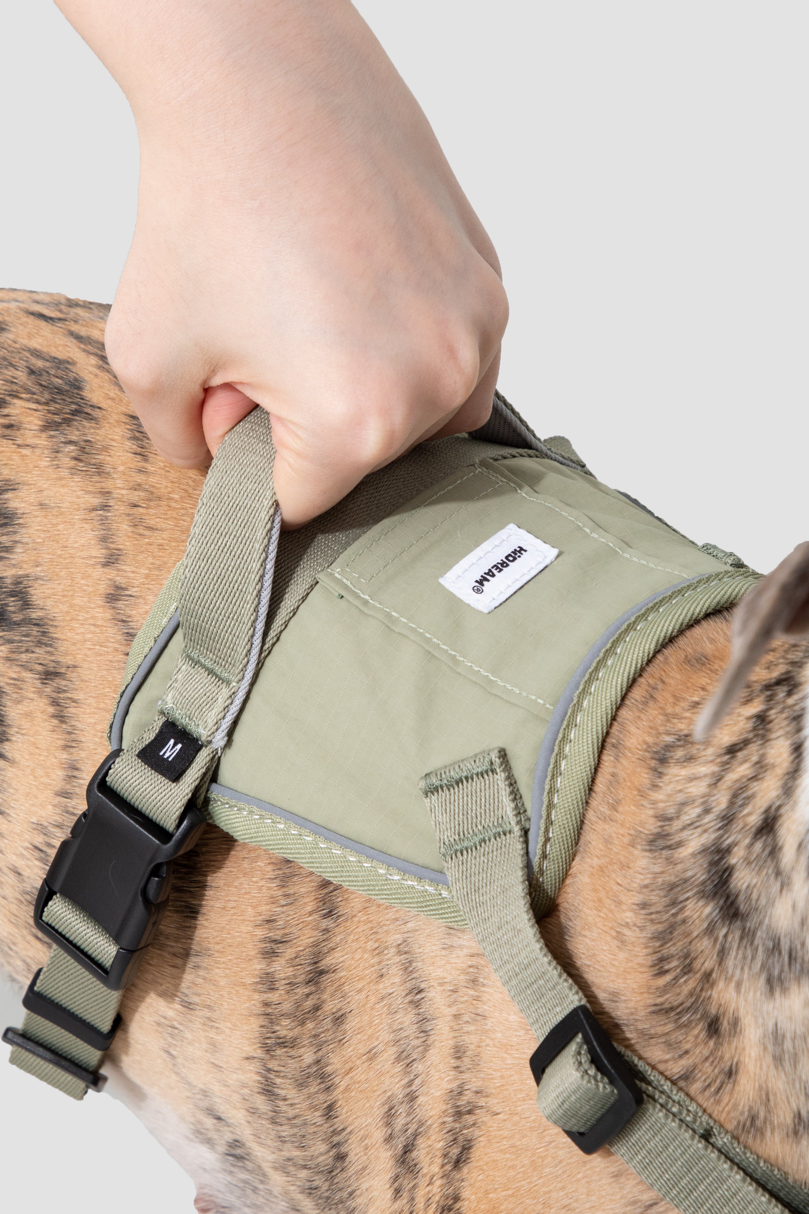 Dog wearing a green harness with a visible brand label, held by a person.