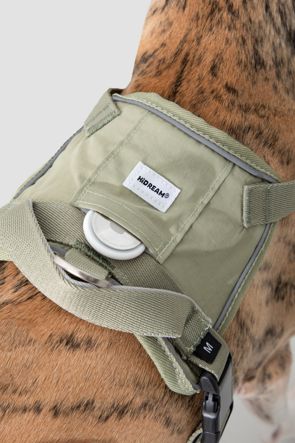 Dog harness with a visible brand label on a dog body