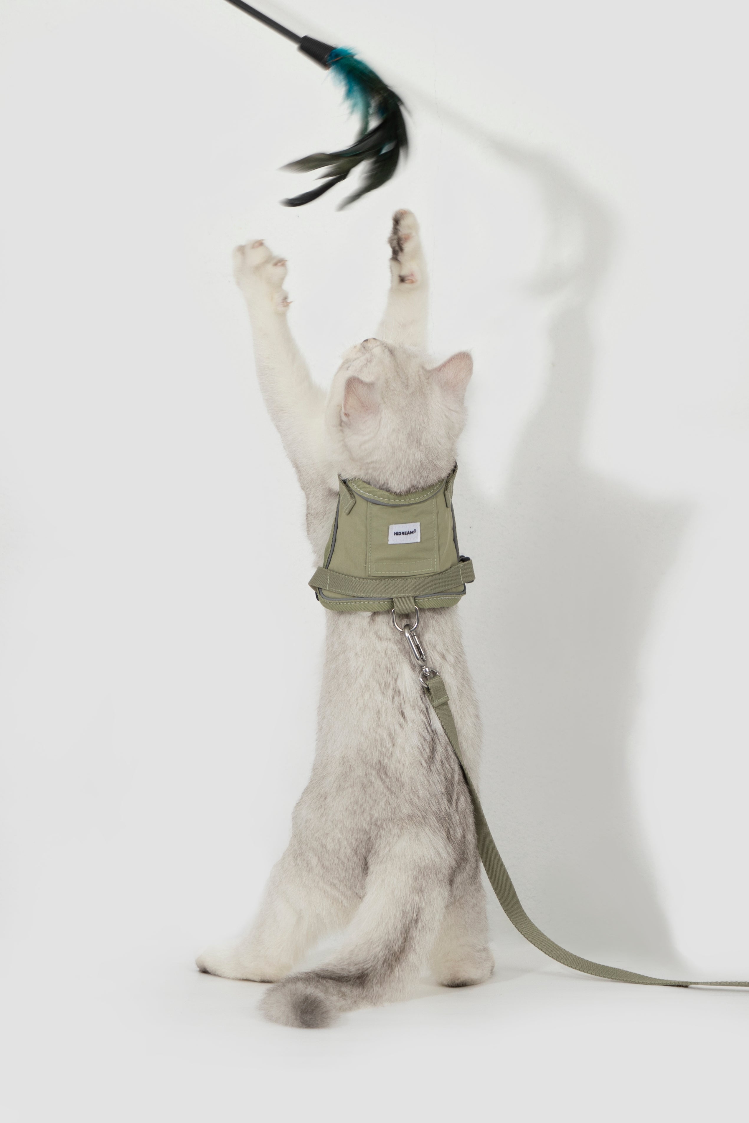 Product image of the HiDREAM Valley - Cat Harness & Leash Set