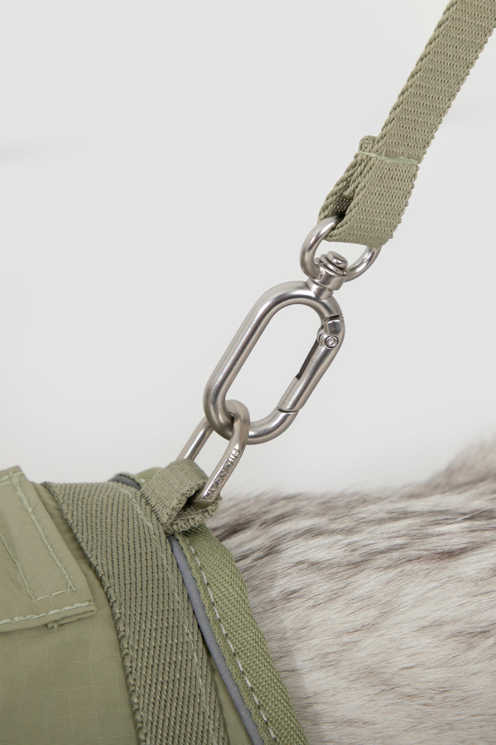 Close-up of a green harness with a metal clip on a white background