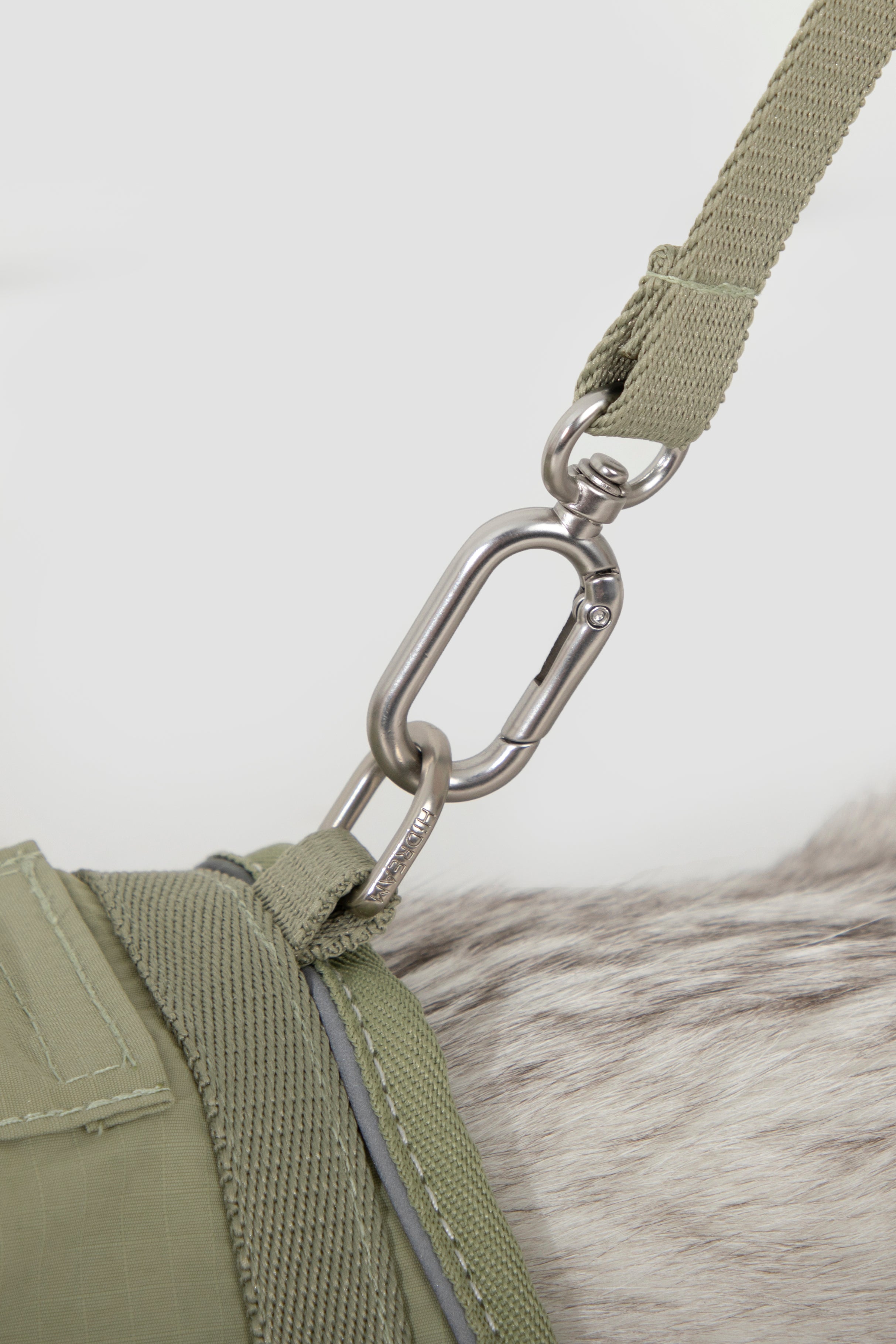 Close-up of a green harness with a metal clip on a white background