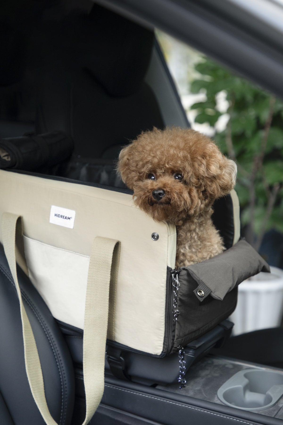 A small brown poodle sits in a beige and black pet booster seat installed in a car seat, with a beige car door panel behind it.
