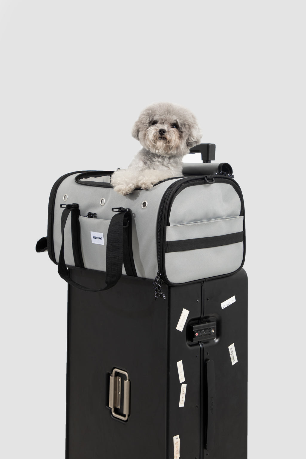 A small fluffy gray dog sits on top of a black hard-sided travel suitcase, with a light gray and black pet carrier bag mounted above the suitcase against a plain light gray studio background.