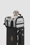A small fluffy gray dog sits on top of a black hard-sided travel suitcase, with a light gray and black pet carrier bag mounted above the suitcase against a plain light gray studio background.