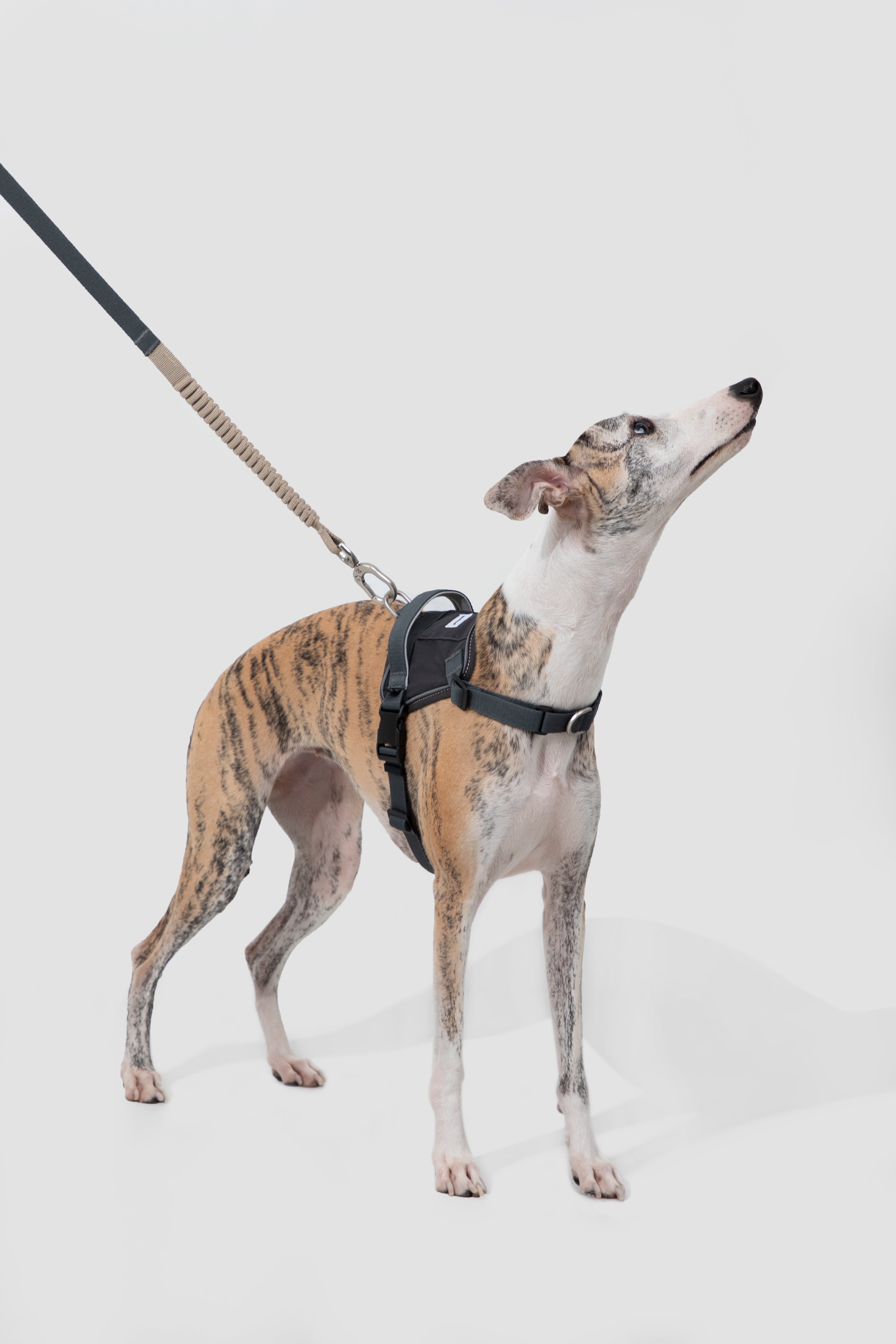 Product image of the HiDREAM Valley - Anti-Pull Dog Harness & Leash Set