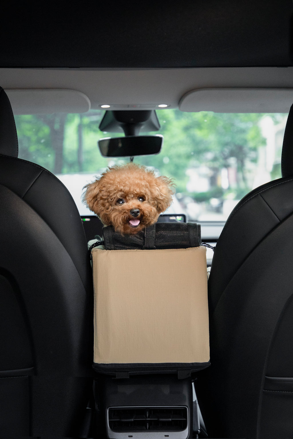 A small fluffy brown dog sits in a beige and black pet car seat installed between the rear front seats of a black car interior.