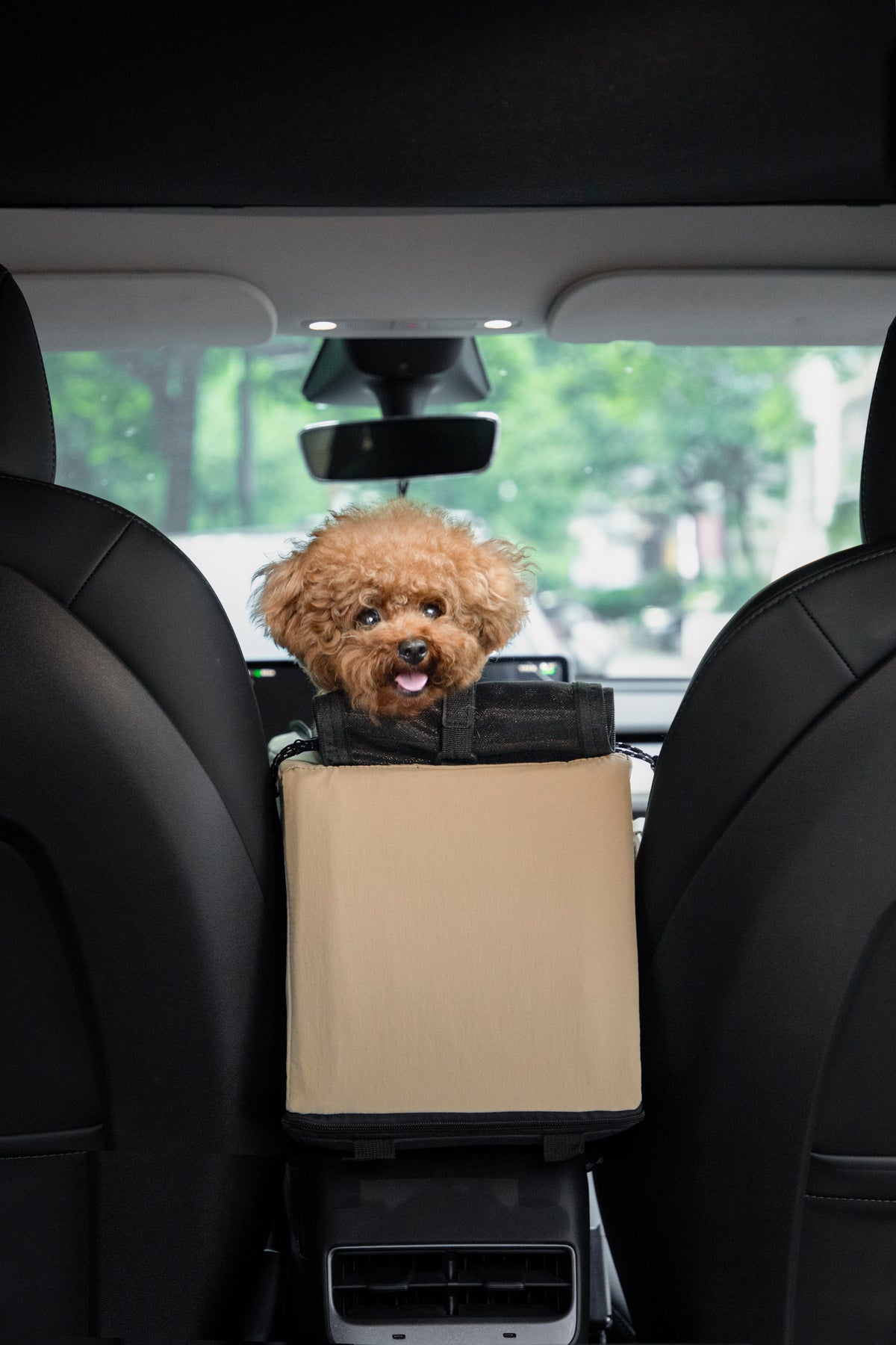 A small fluffy brown dog sits in a beige and black pet car seat installed between the rear front seats of a black car interior.