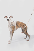 Product image of the HiDREAM Valley - Anti-Pull Dog Harness & Leash Set