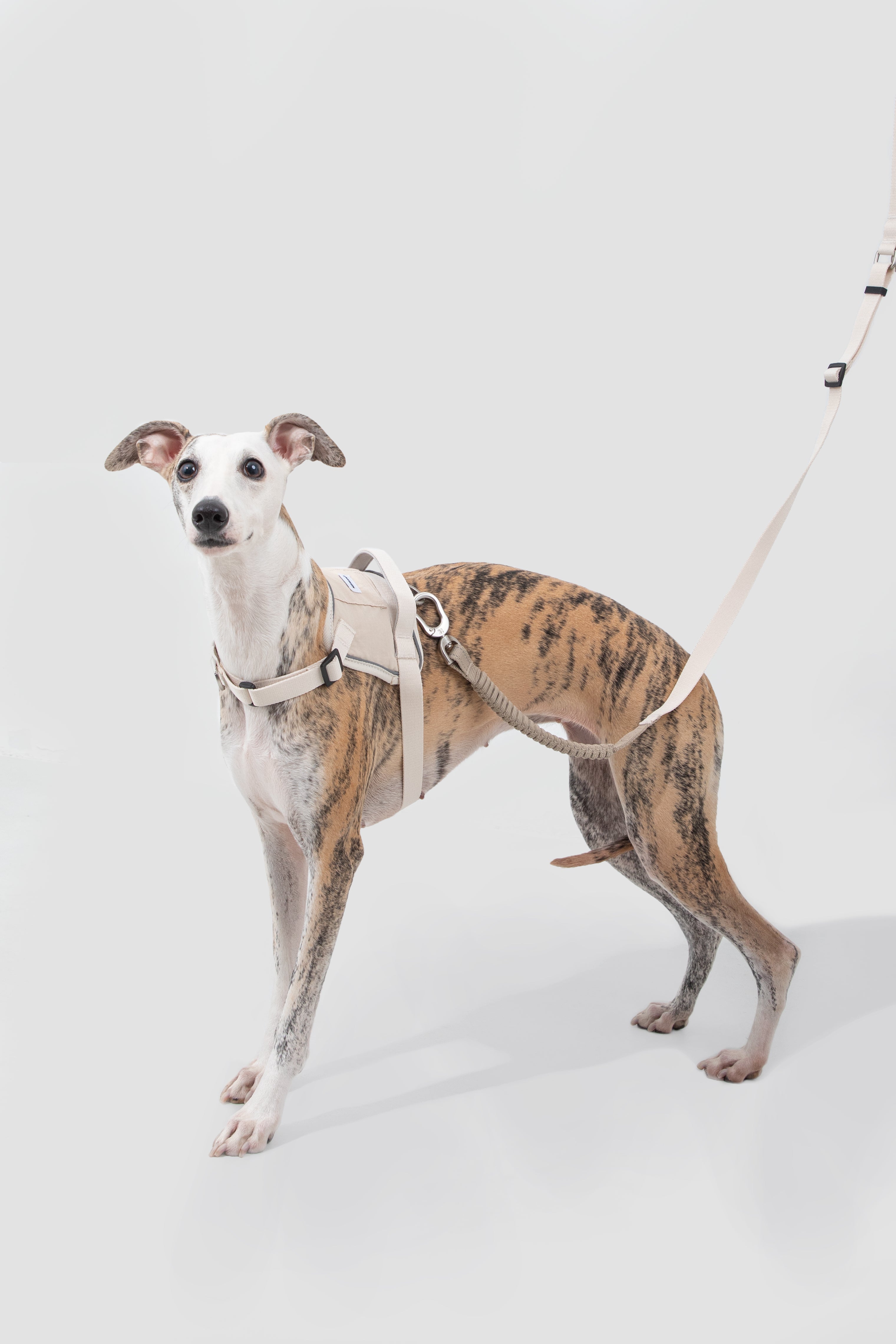 Product image of the HiDREAM Valley - Anti-Pull Dog Harness & Leash Set