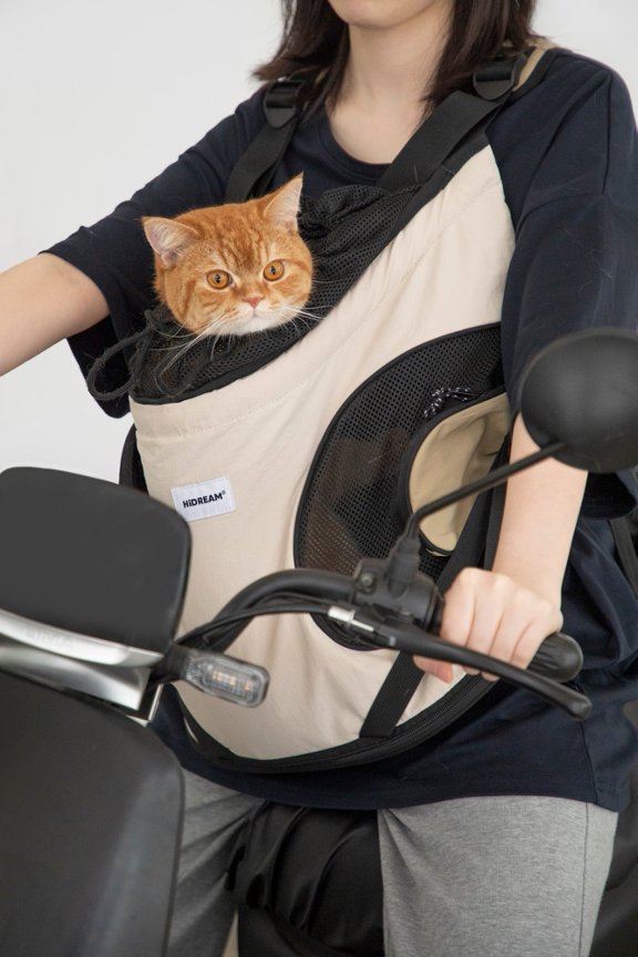 Person carrying a cat in a pet carrier while riding a motorcycle