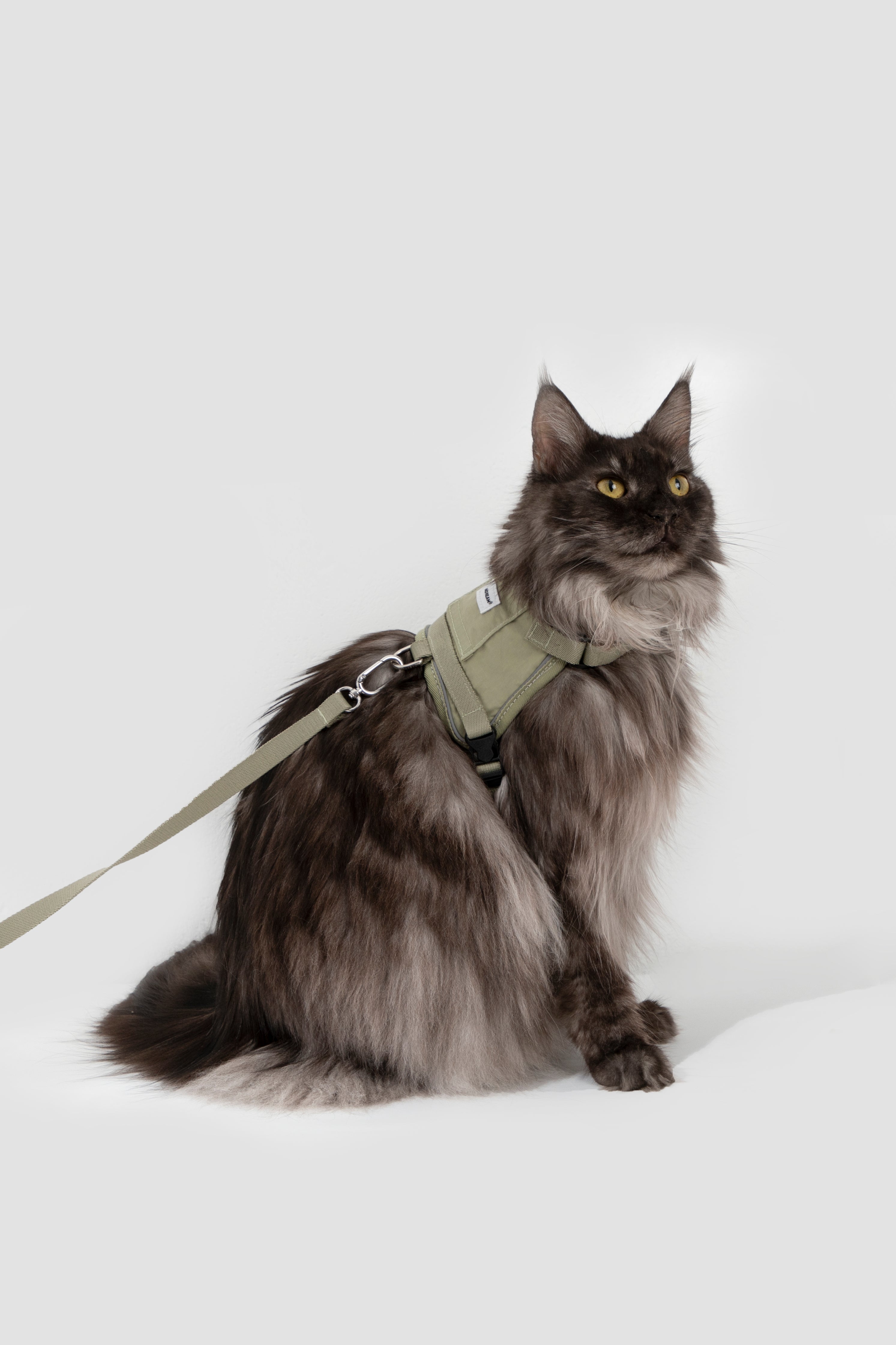 Product image of the HiDREAM Valley - Cat Harness & Leash Set