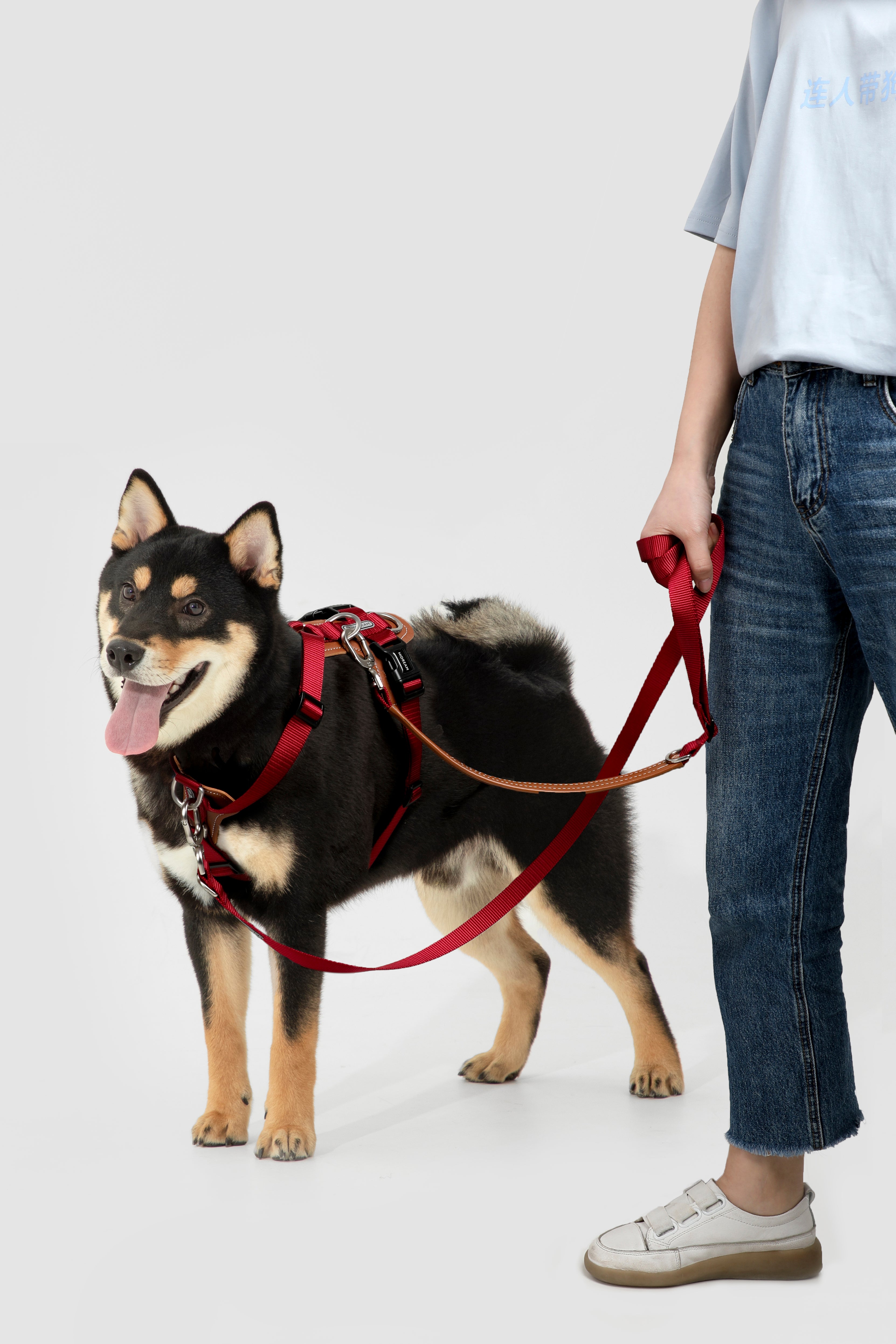 Product image of the HiDREAM Bobo - Dog Harness & Multifunctional Leash Set