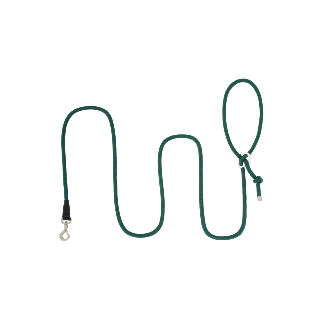 Green dog leash on a white background