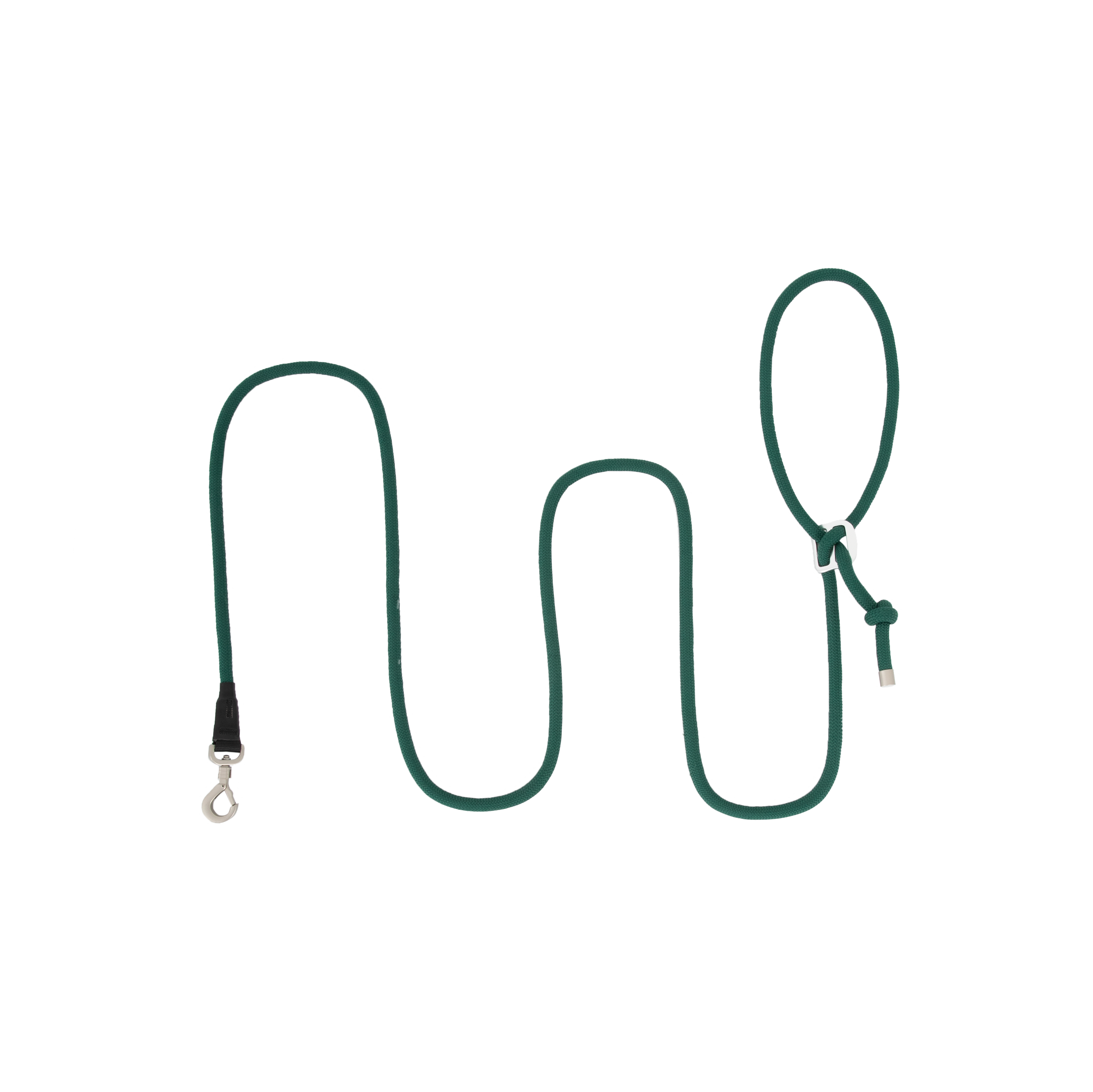 Green dog leash on a white background