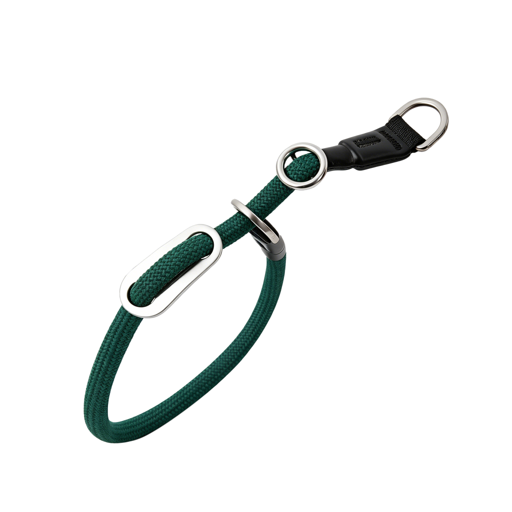 A dark green braided rope pet collar with silver metal hardware, including a D-ring, rings, and a black plastic clip, shown on a plain white background.