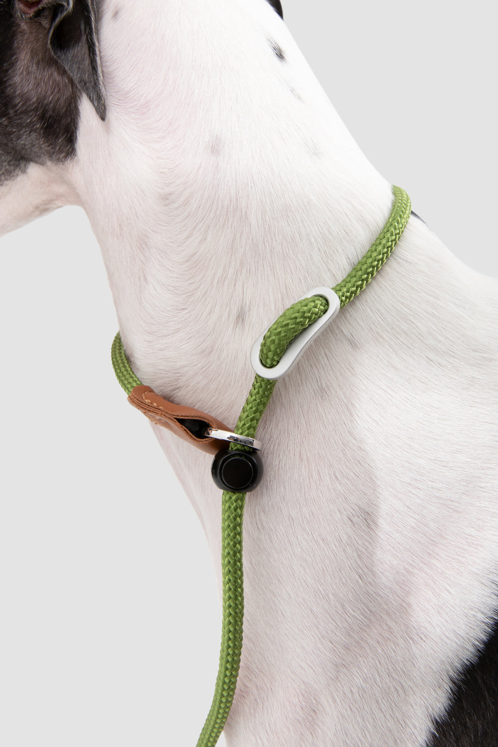 A close-up of a dog wearing a green braided rope collar with a white carabiner, brown leather detail, and black snap closure, set against a plain light gray background.