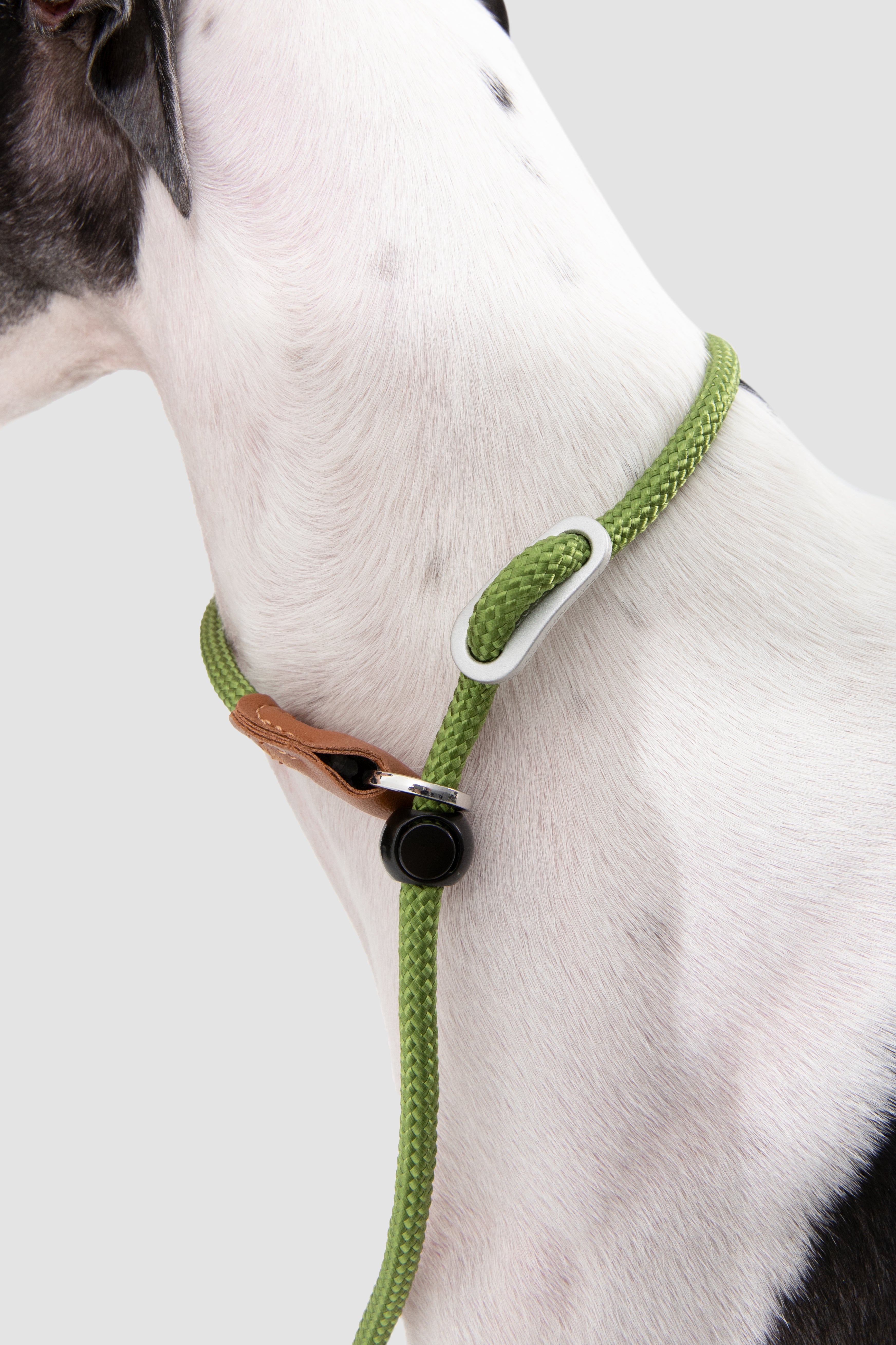 A close-up of a dog wearing a green braided rope collar with a white carabiner, brown leather detail, and black snap closure, set against a plain light gray background.