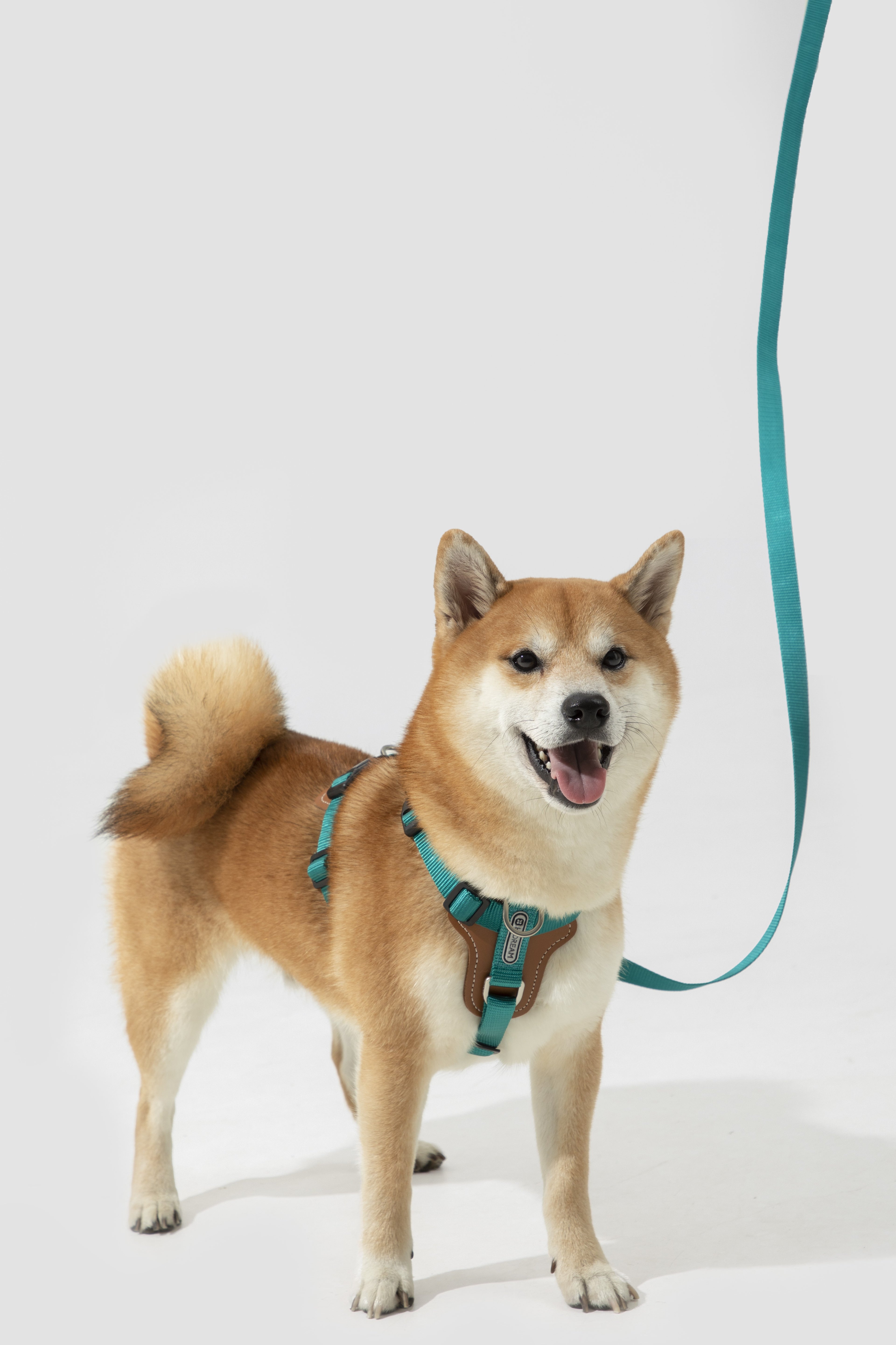 Product image of the HiDREAM Bobo - Dog Harness & Multifunctional Leash Set