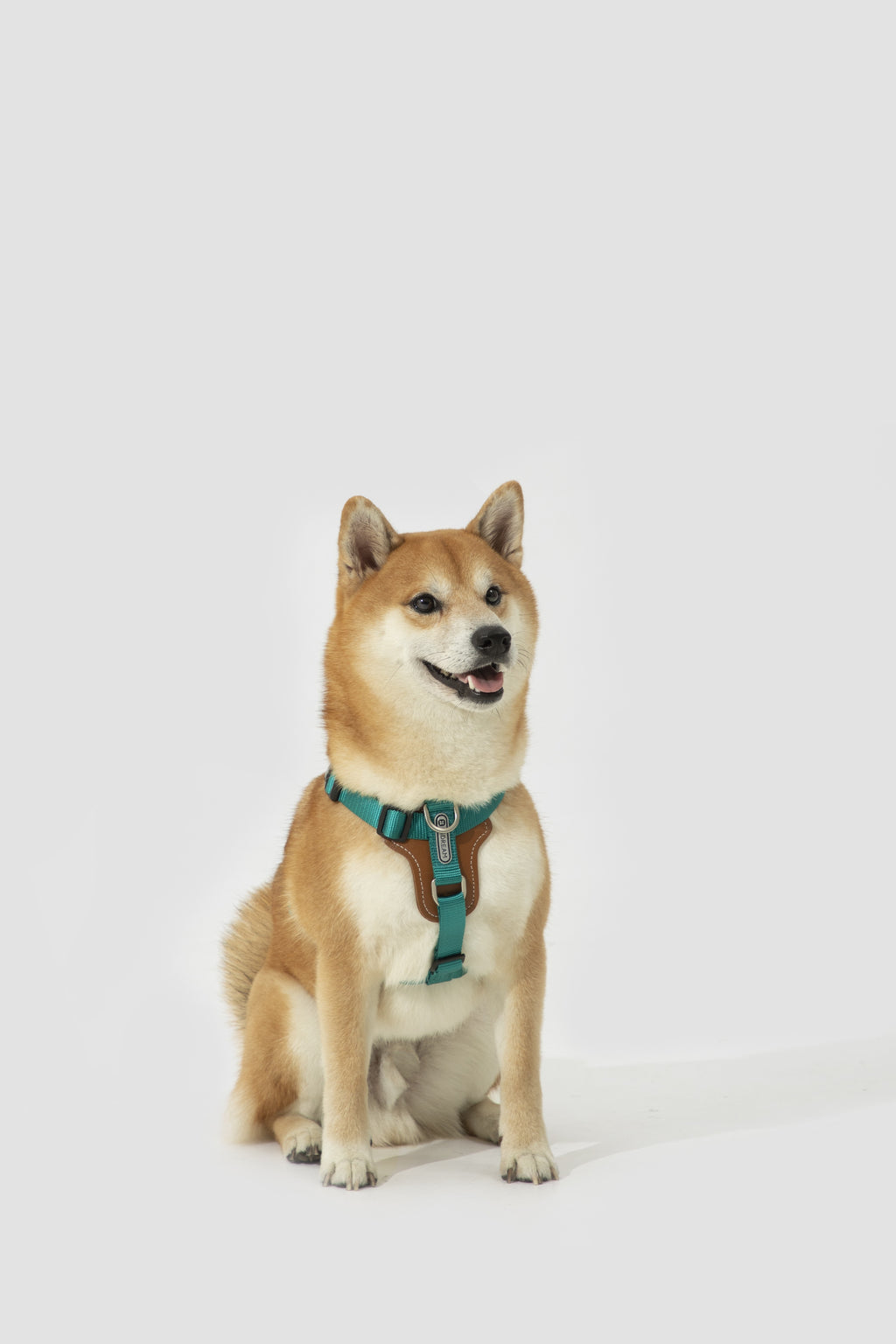 Product image of the HiDREAM Bobo - I-Shaped Dog Harness