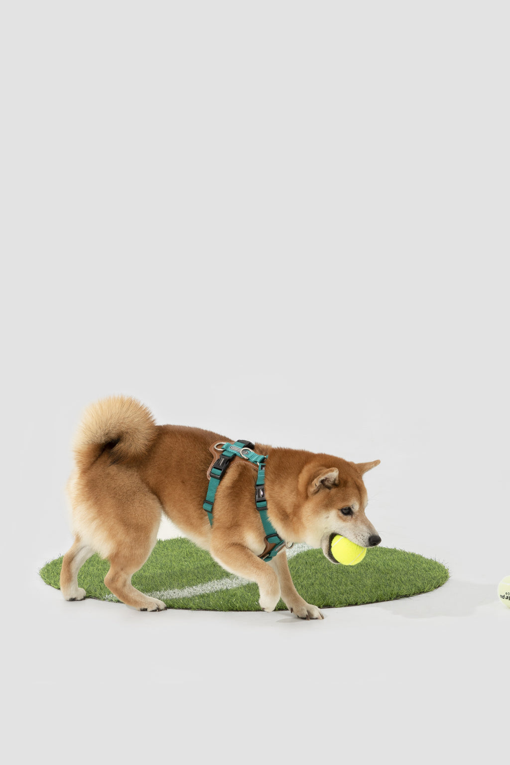 Product image of the HiDREAM Bobo - I-Shaped Dog Harness