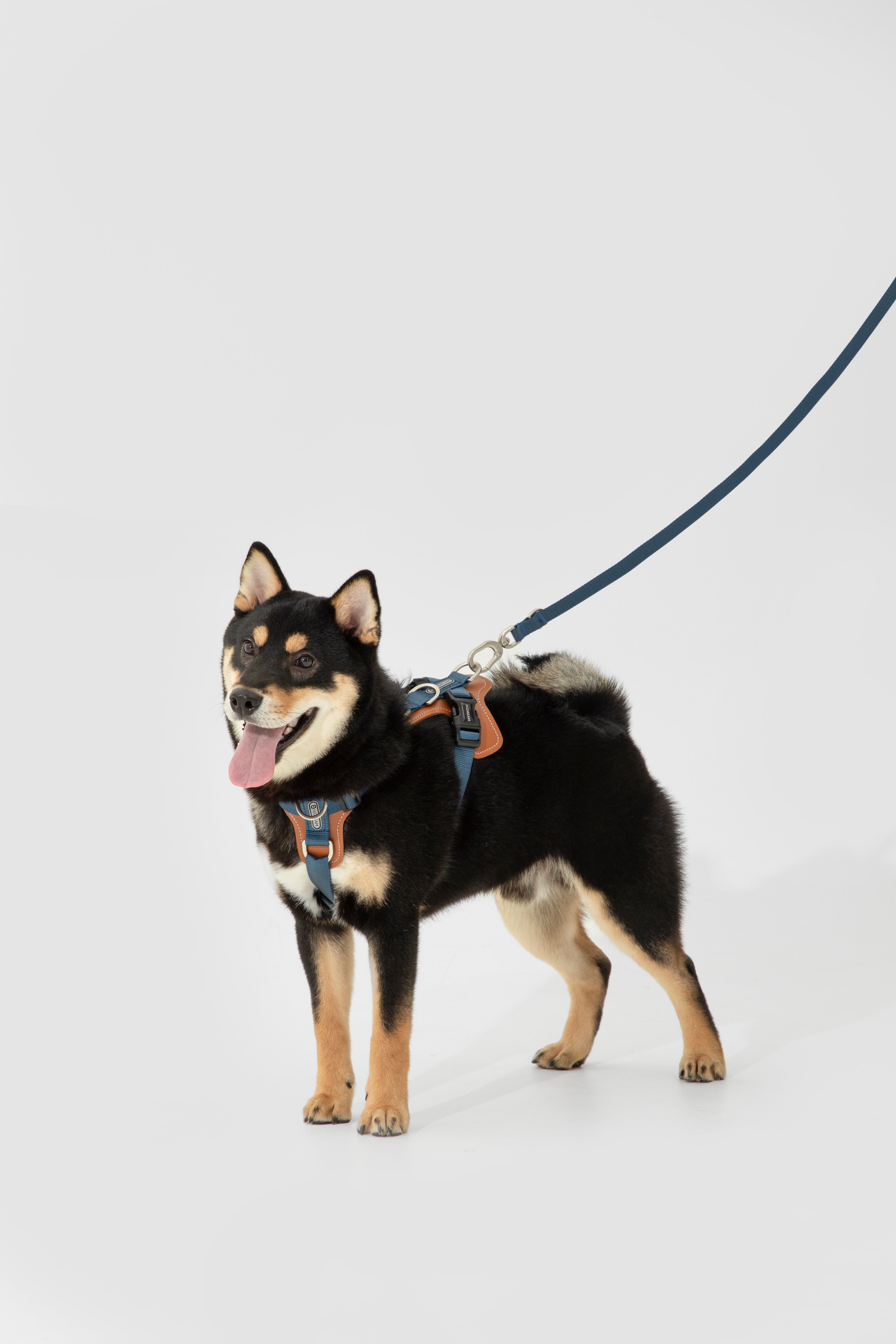 Product image of the HiDREAM Bobo - Dog Harness & Multifunctional Leash Set