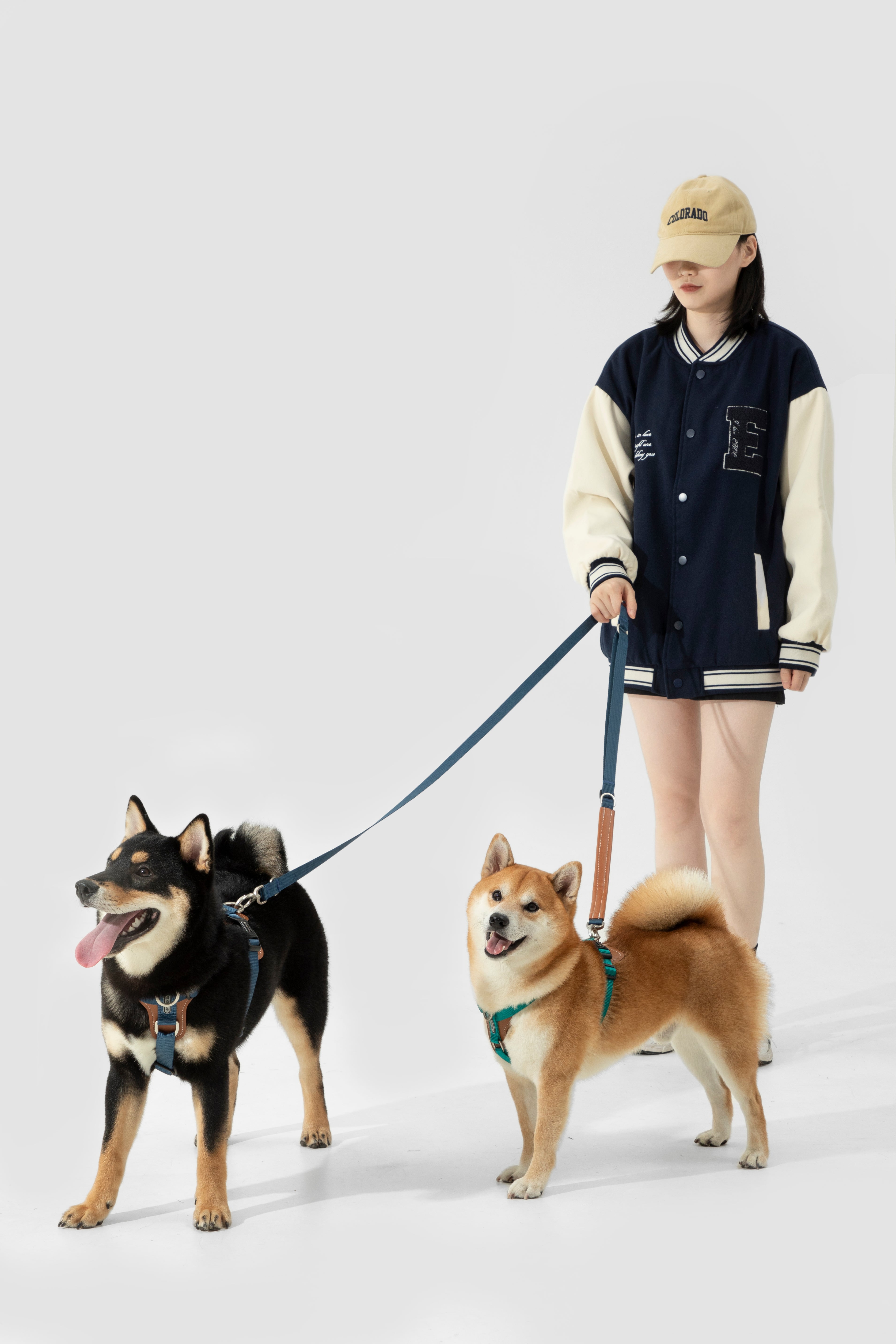 Product image of the HiDREAM Bobo - Dog Harness & Multifunctional Leash Set