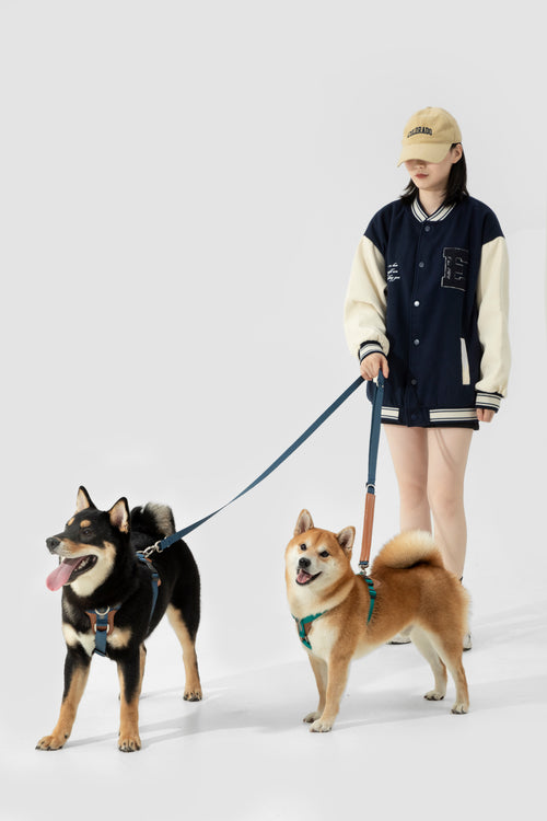 Product image of the HiDREAM Bobo - Dog Harness & Multifunctional Leash Set
