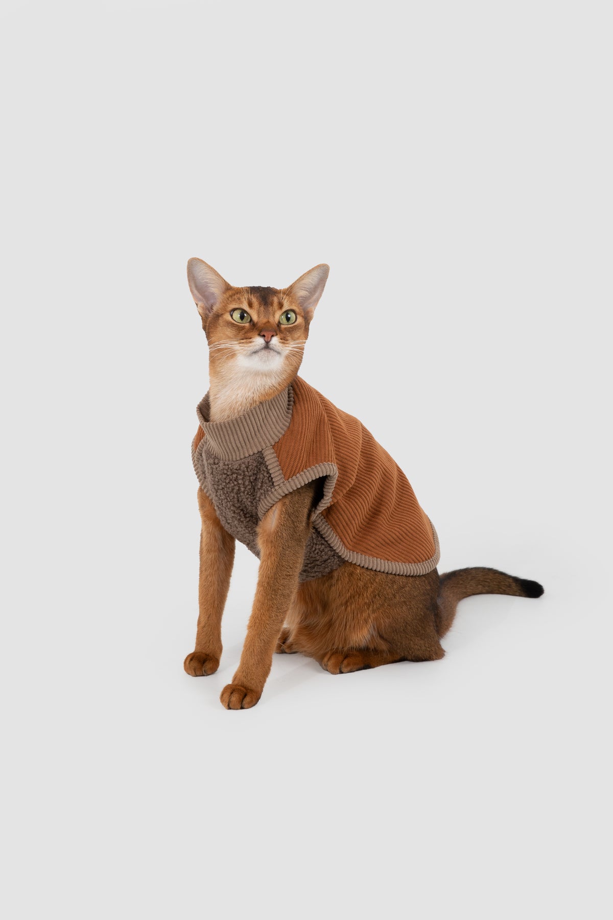 Mellow - Soft Velvet Pet Vest