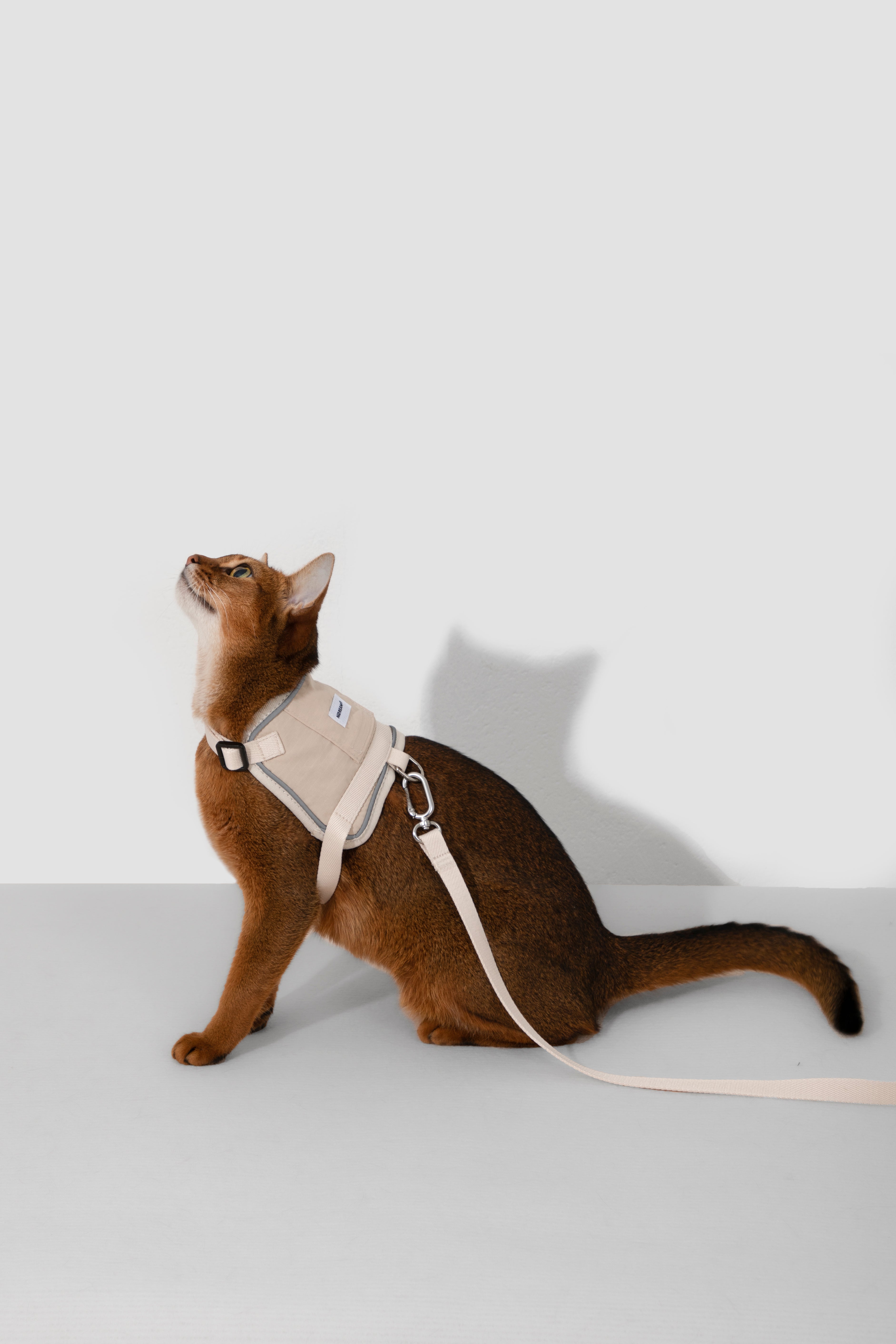 Product image of the HiDREAM Valley - Cat Harness & Leash Set