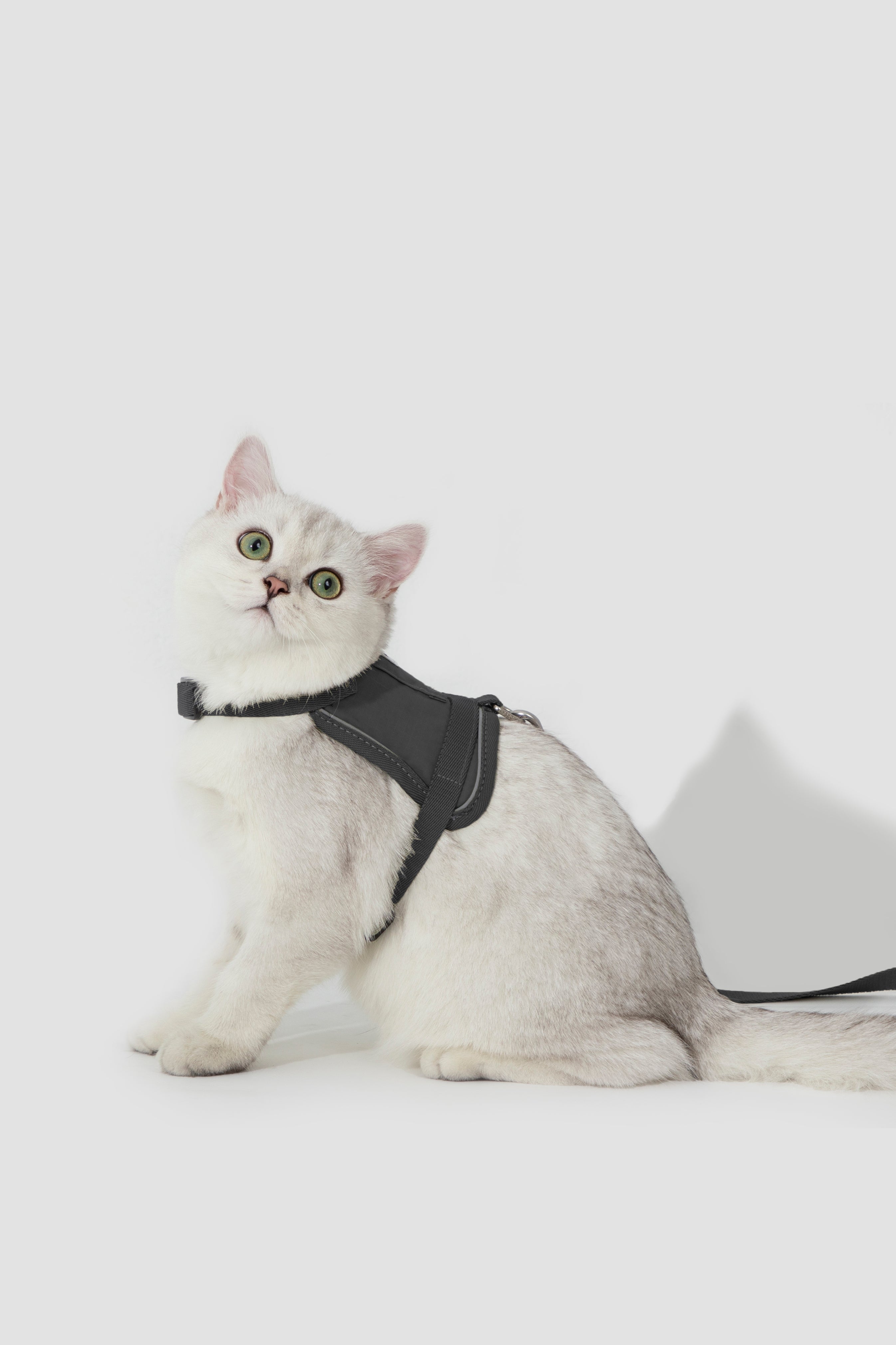 Product image of the HiDREAM Valley - Cat Harness & Leash Set