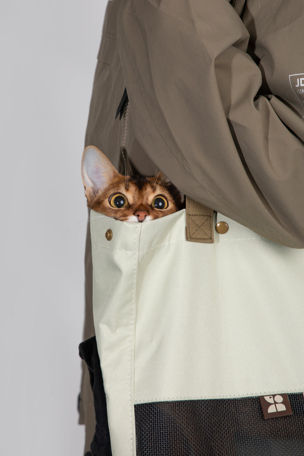 A close-up of a person wearing a taupe jacket and a large off-white utility tote bag with a dark mesh pocket. A small brown cat is peeking out from the side pocket of the bag, looking directly at the camera.