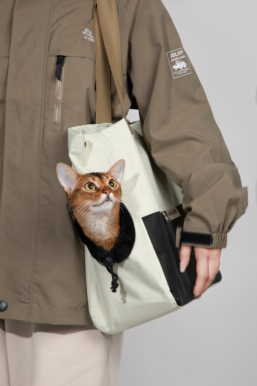 Person holding a light green tote bag with a cat peeking out, wearing a brown jacket.