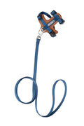 Blue cat harness and leash