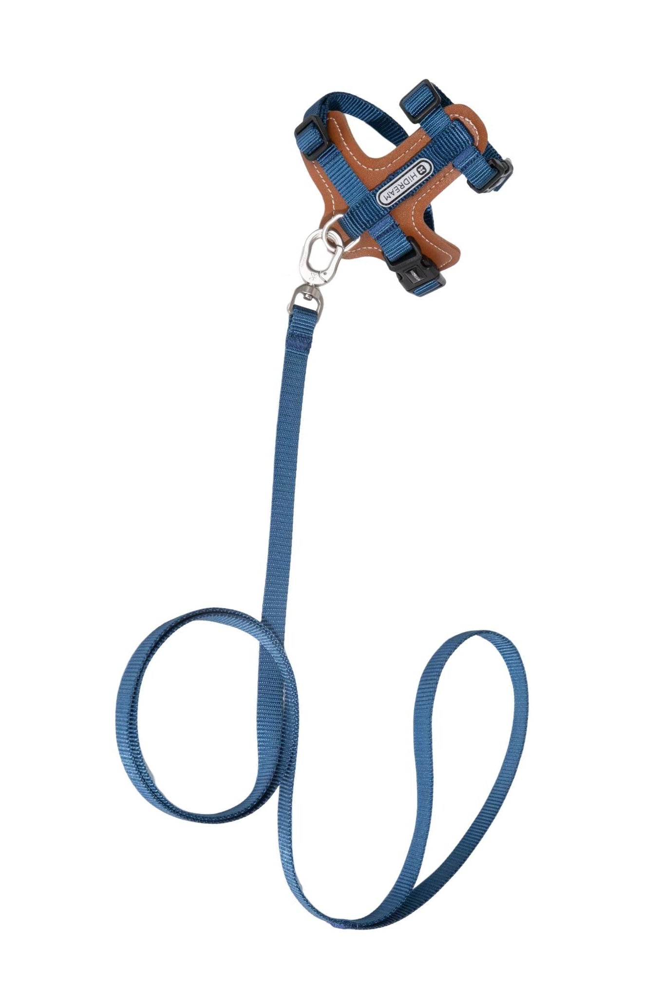 Blue cat harness and leash