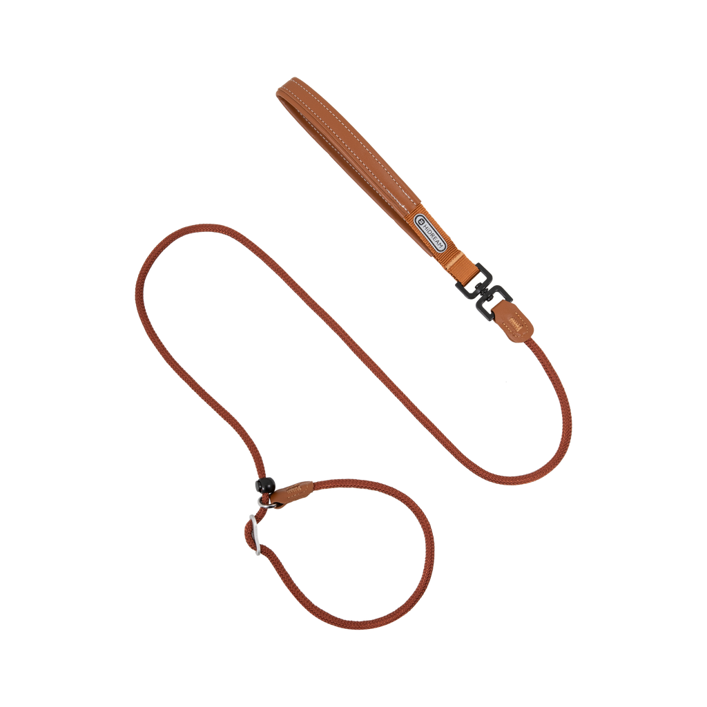 A brown leather dog leash with a matching loop handle and a black metal buckle, shown on a plain white background.
