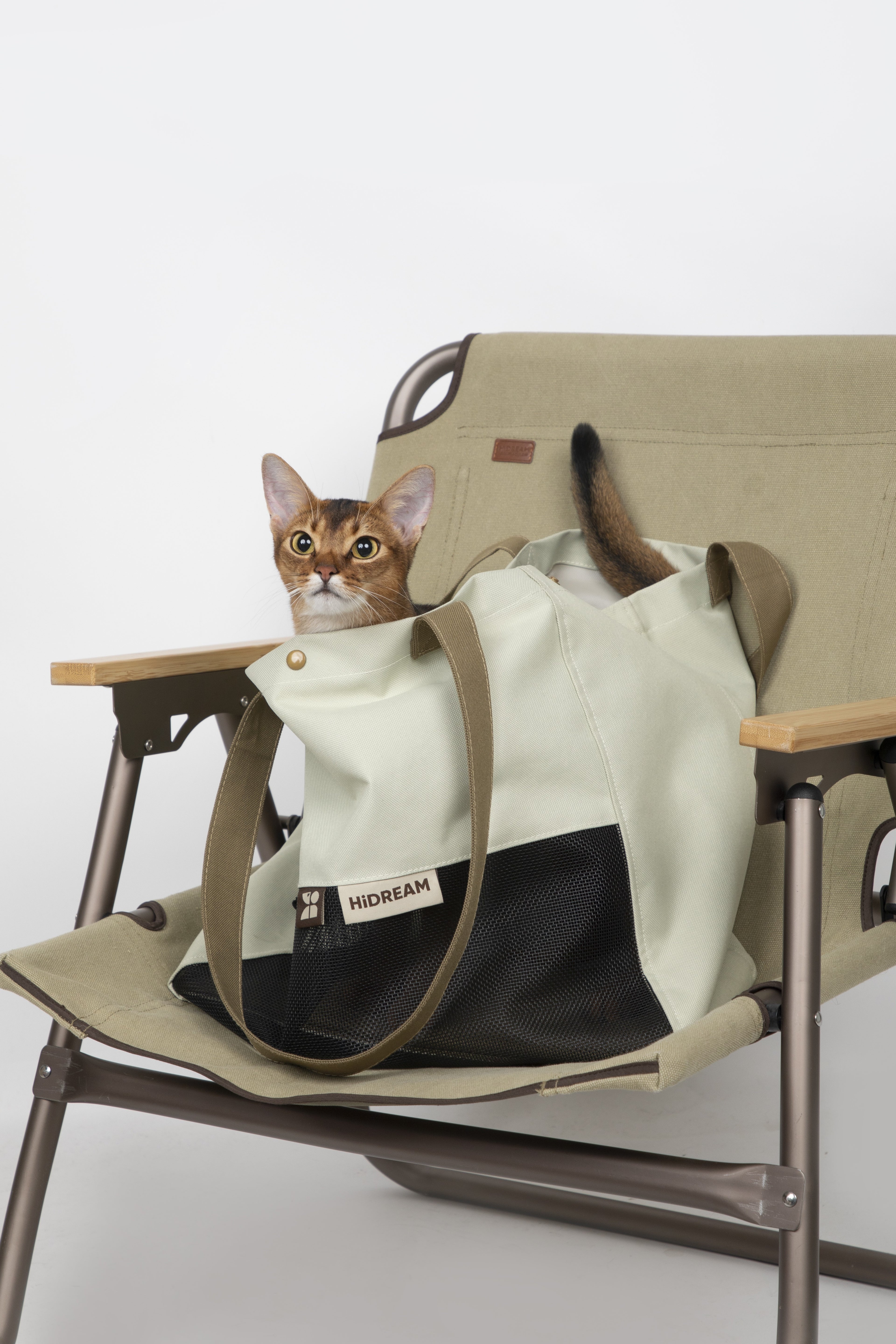 A cat sits inside a beige and black tote bag placed on a folding camp chair against a plain light gray studio background. A small label on the bag reads.