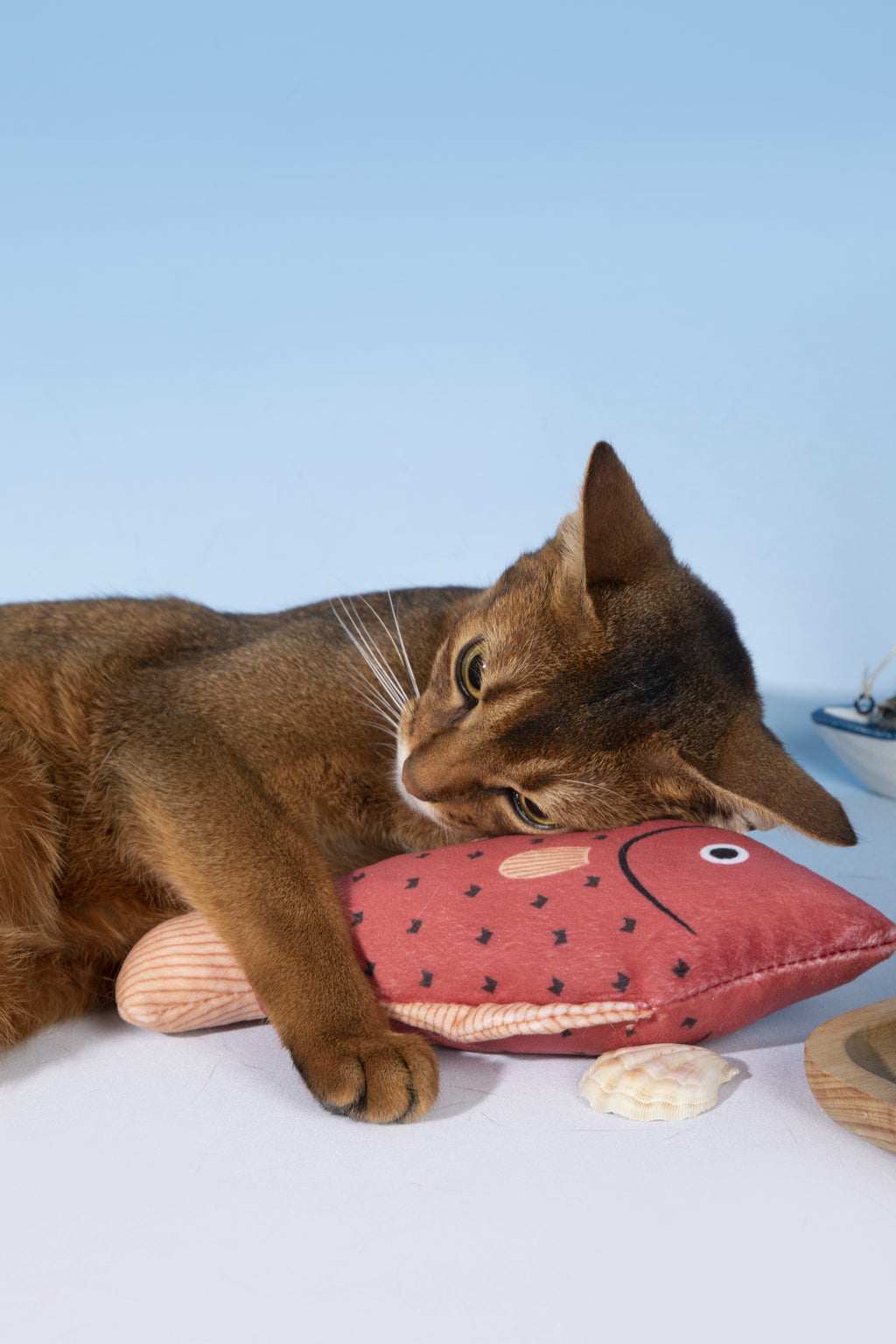 A brown cat lies on a white surface, resting its head and paw on a pink fish-shaped plush toy with black star details. The scene is photographed against a light blue and white studio background.