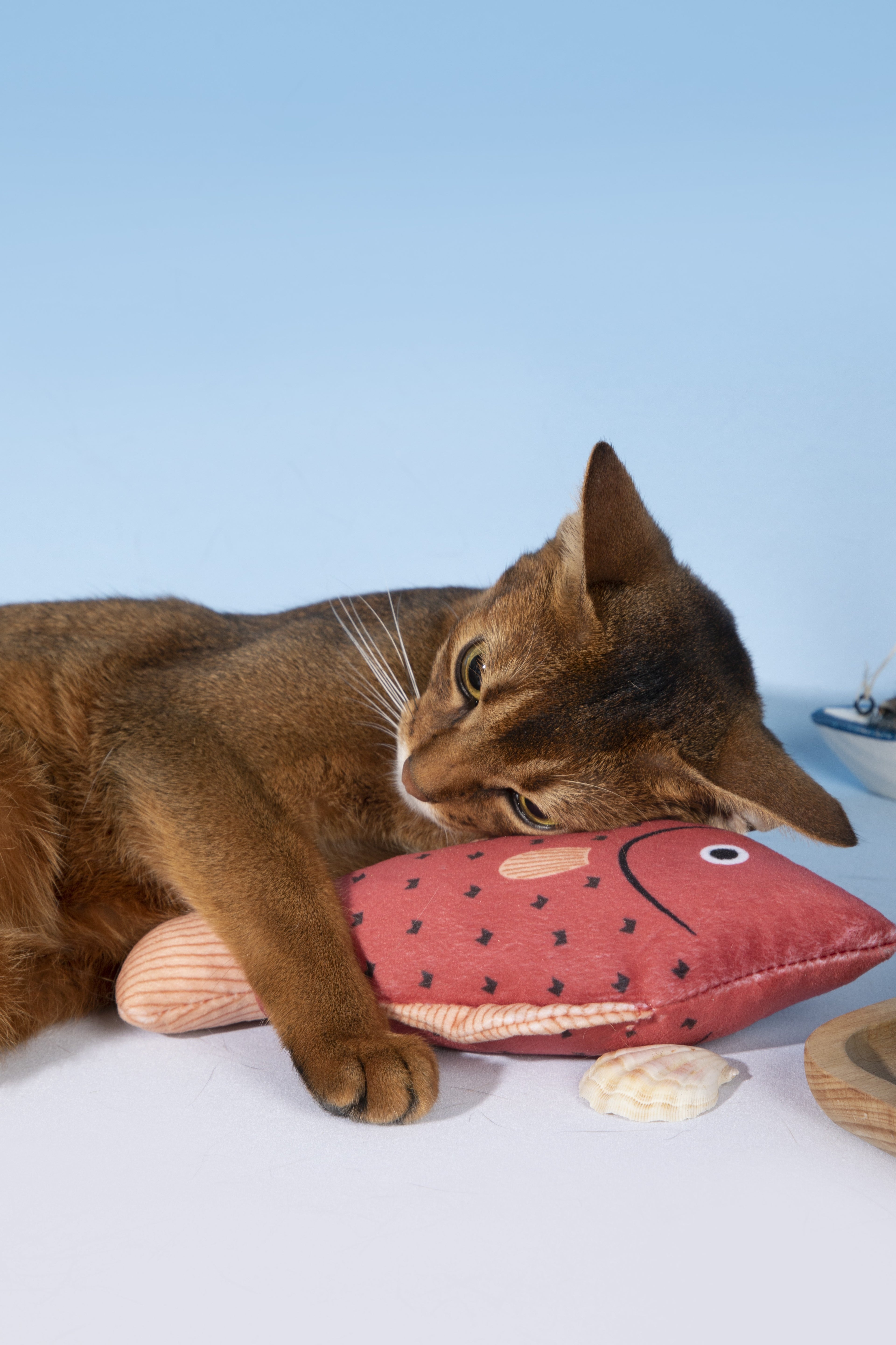 A brown cat lies on a white surface, resting its head and paw on a pink fish-shaped plush toy with black star details. The scene is photographed against a light blue and white studio background.