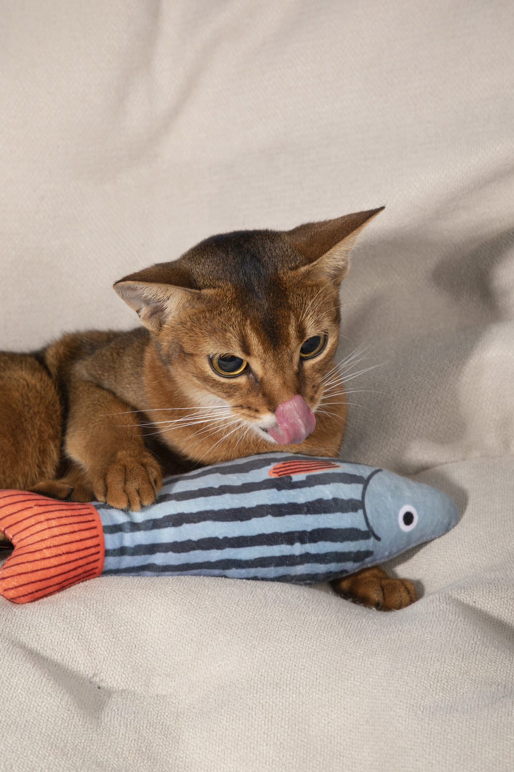 A brown cat licks a striped blue and gray fish-shaped toy while lying on a beige fabric surface.