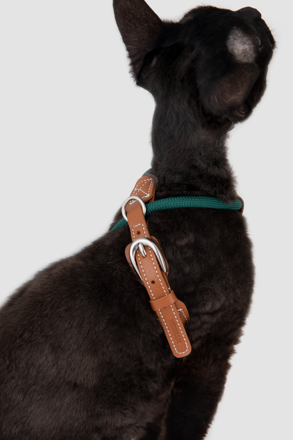 Product image of the HiDREAM Rambler - Cat Harness Set