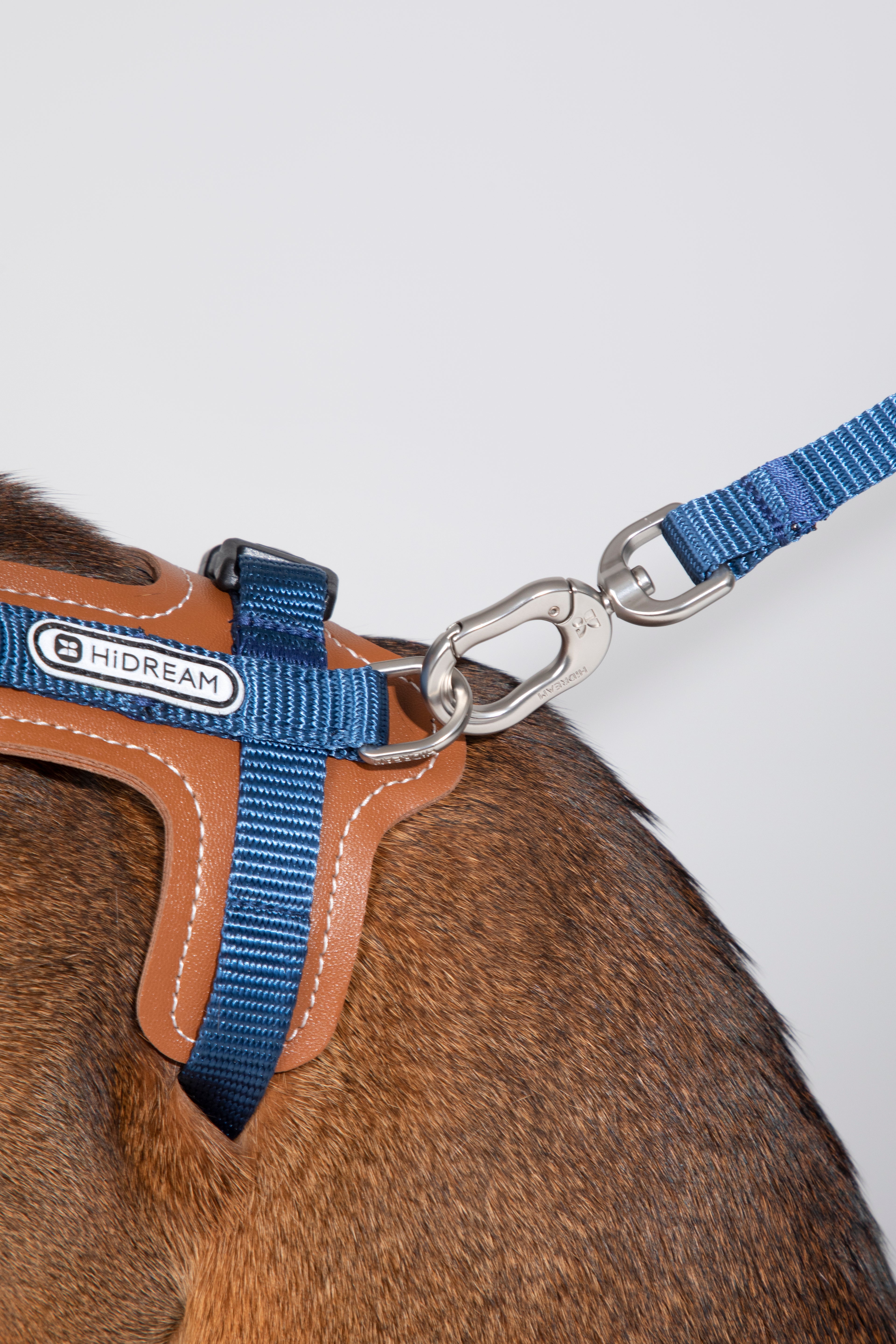 Close-up of a cat harness with a blue strap and brown leather-like panels, attached to a metal clip and leash, on a brown cat against a light gray background. The brand tag reads HIDREAM.