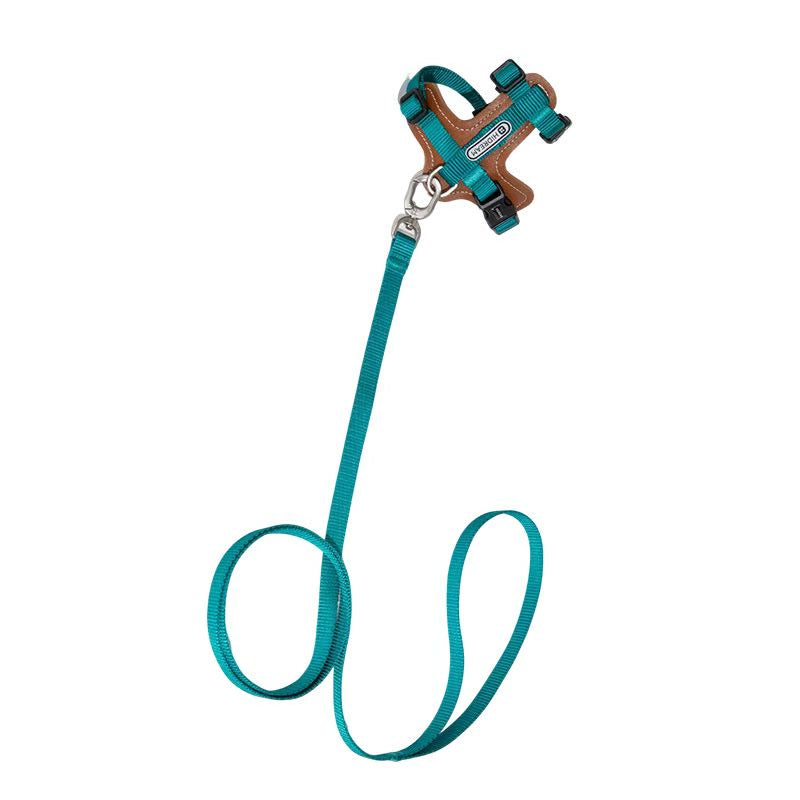cat harness and leash 