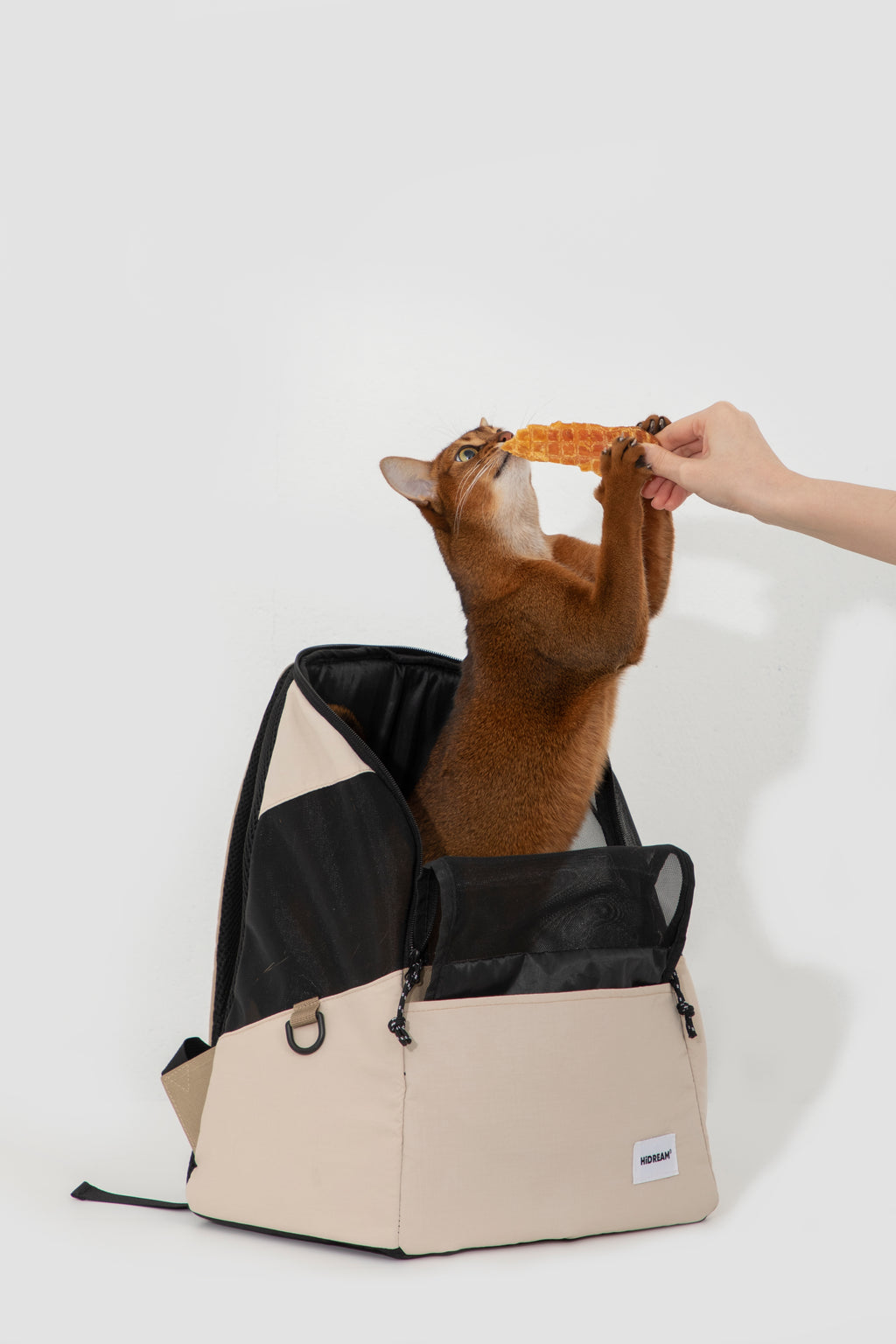 A cat carrier backpack in beige and black, shown with a brown cat inside reaching for a treat held by a human hand, against a plain light gray background.