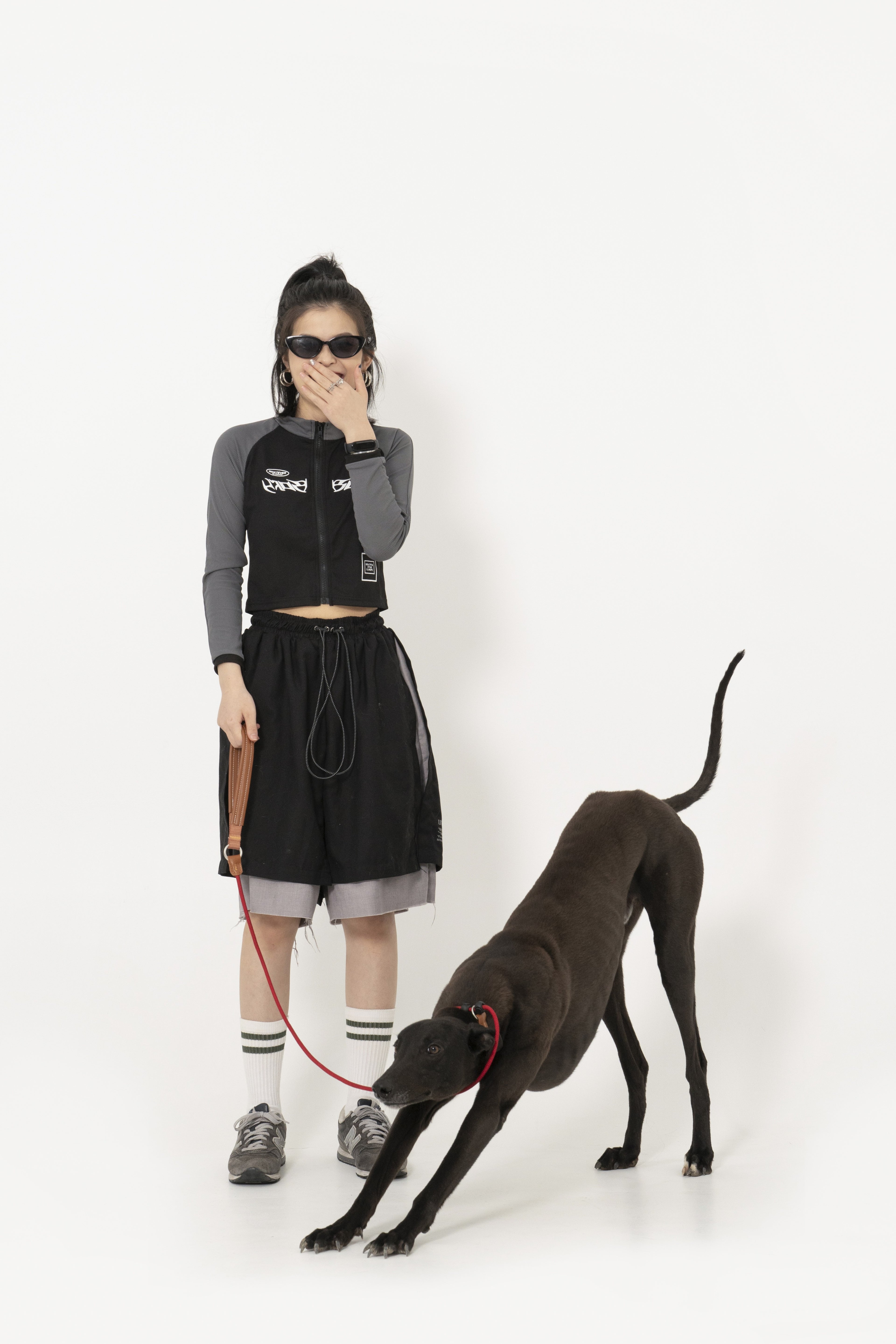 Pet owner walking a dog with a HiDREAM leash